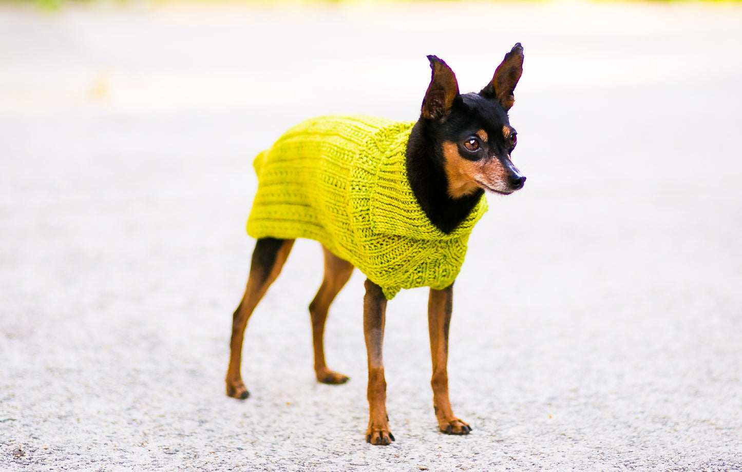 Cat & Dog Pet Sweaters in Pistachio
