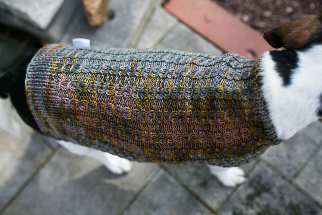 Cat & Dog Pet Sweaters in Flushing - VERY LIMITED QUANTITY AND LAST OF THIS COLORWAY!
