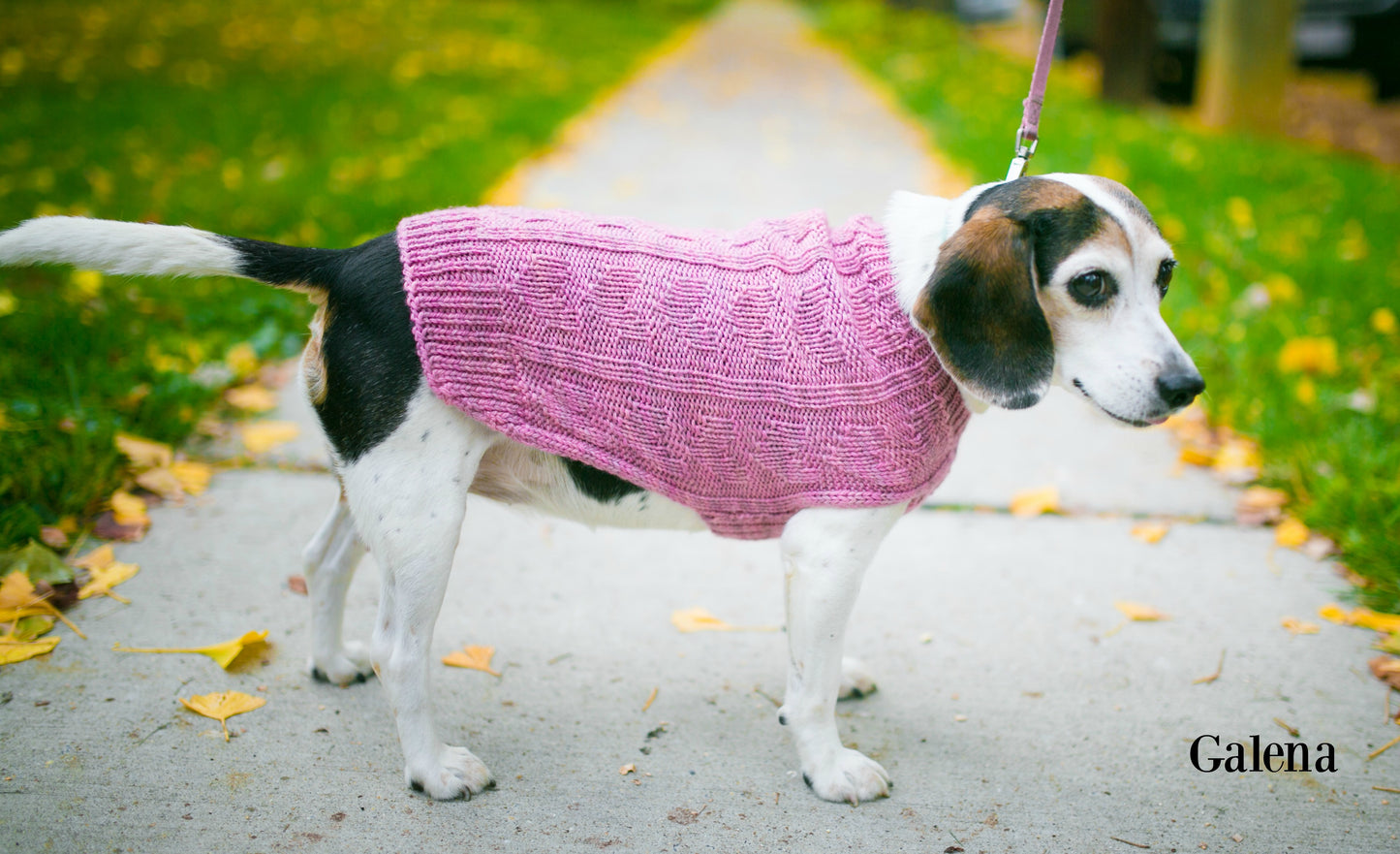 Cat & Dog Pet Sweaters Size Medium READY TO SHIP