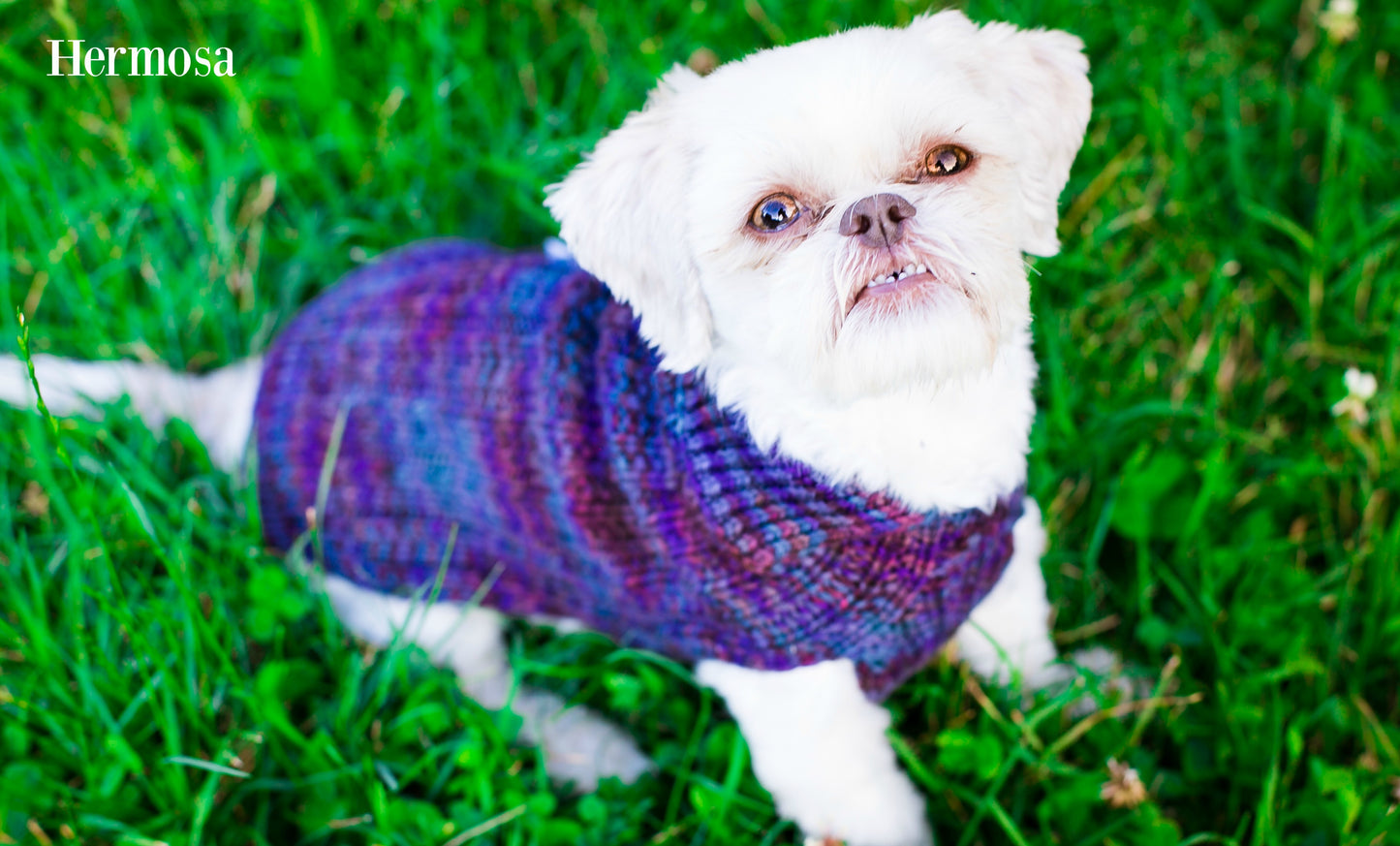 Cat & Dog Pet Sweaters Size Small READY TO SHIP