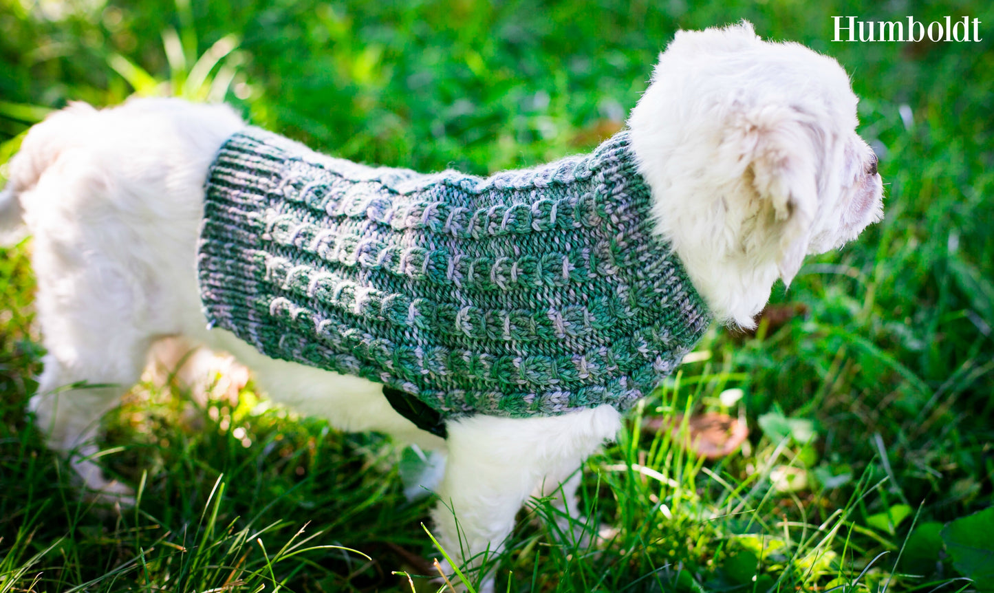 Cat & Dog Pet Sweaters Size XSmall READY TO SHIP
