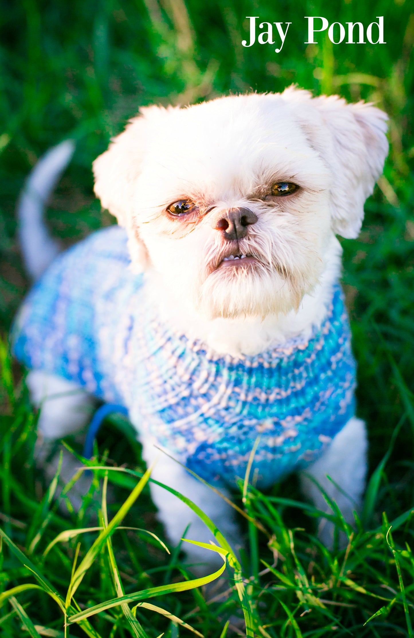 Cat & Dog Pet Sweaters Size Small READY TO SHIP