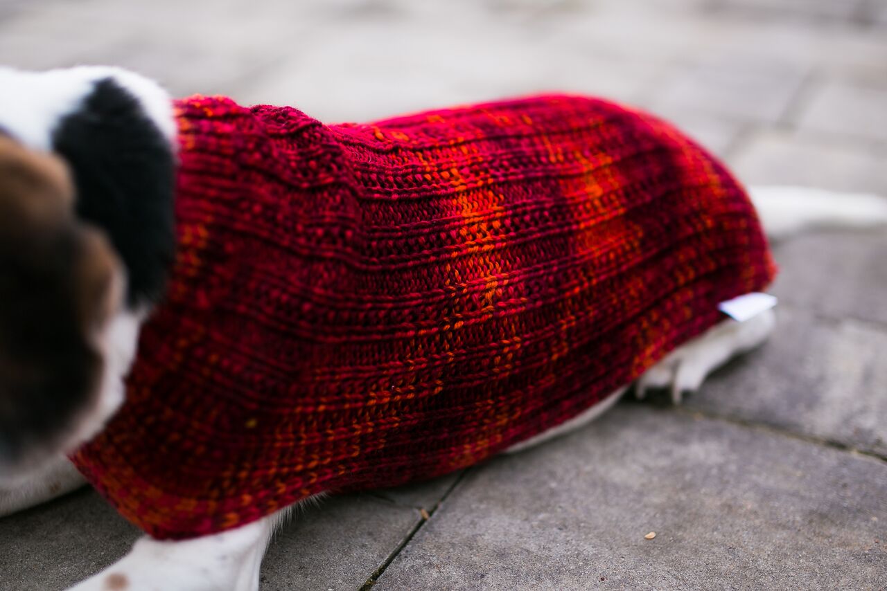 Cat & Dog Pet Sweaters in Lava Flow - LAST OF THIS COLORWAY!