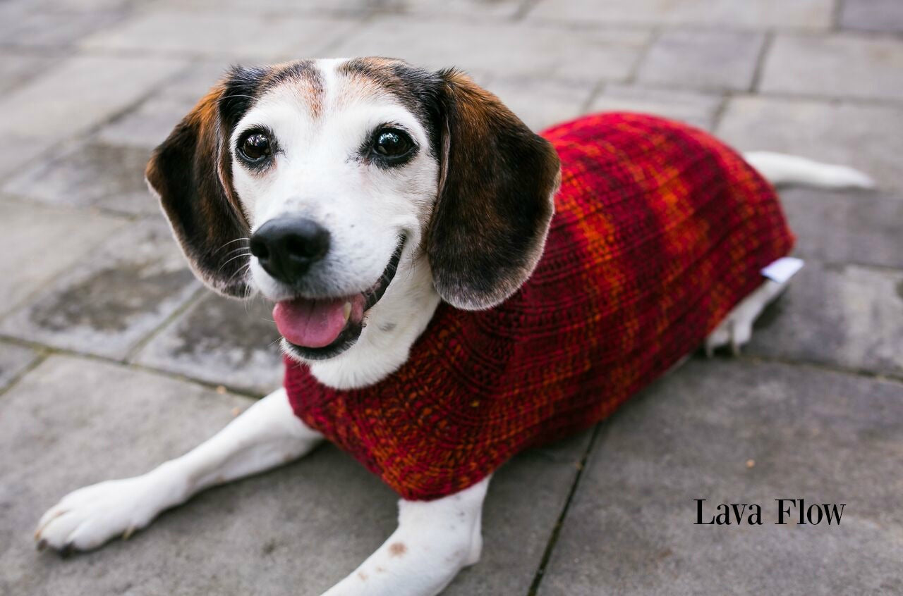 Cat & Dog Pet Sweaters Size Medium READY TO SHIP