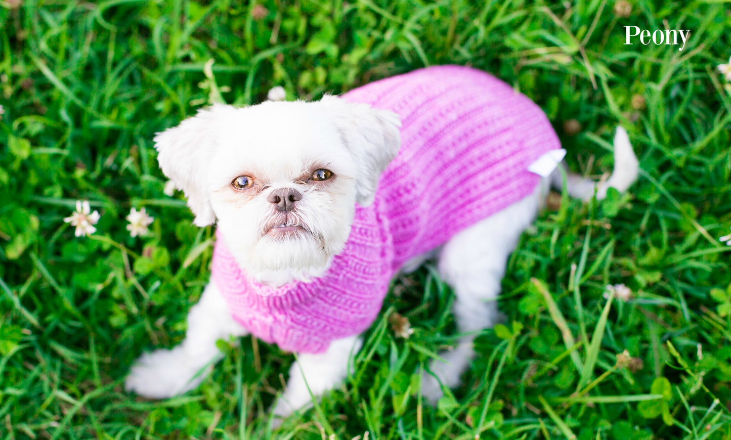 Cat & Dog Pet Sweaters Size Small READY TO SHIP