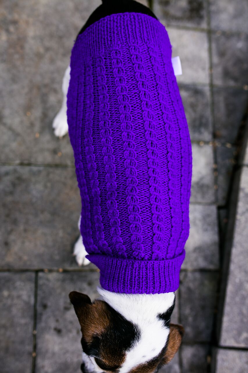 Cat & Dog Pet Sweaters in Perky - VERY LIMITED QUANTITY AND LAST OF THIS COLORWAY!