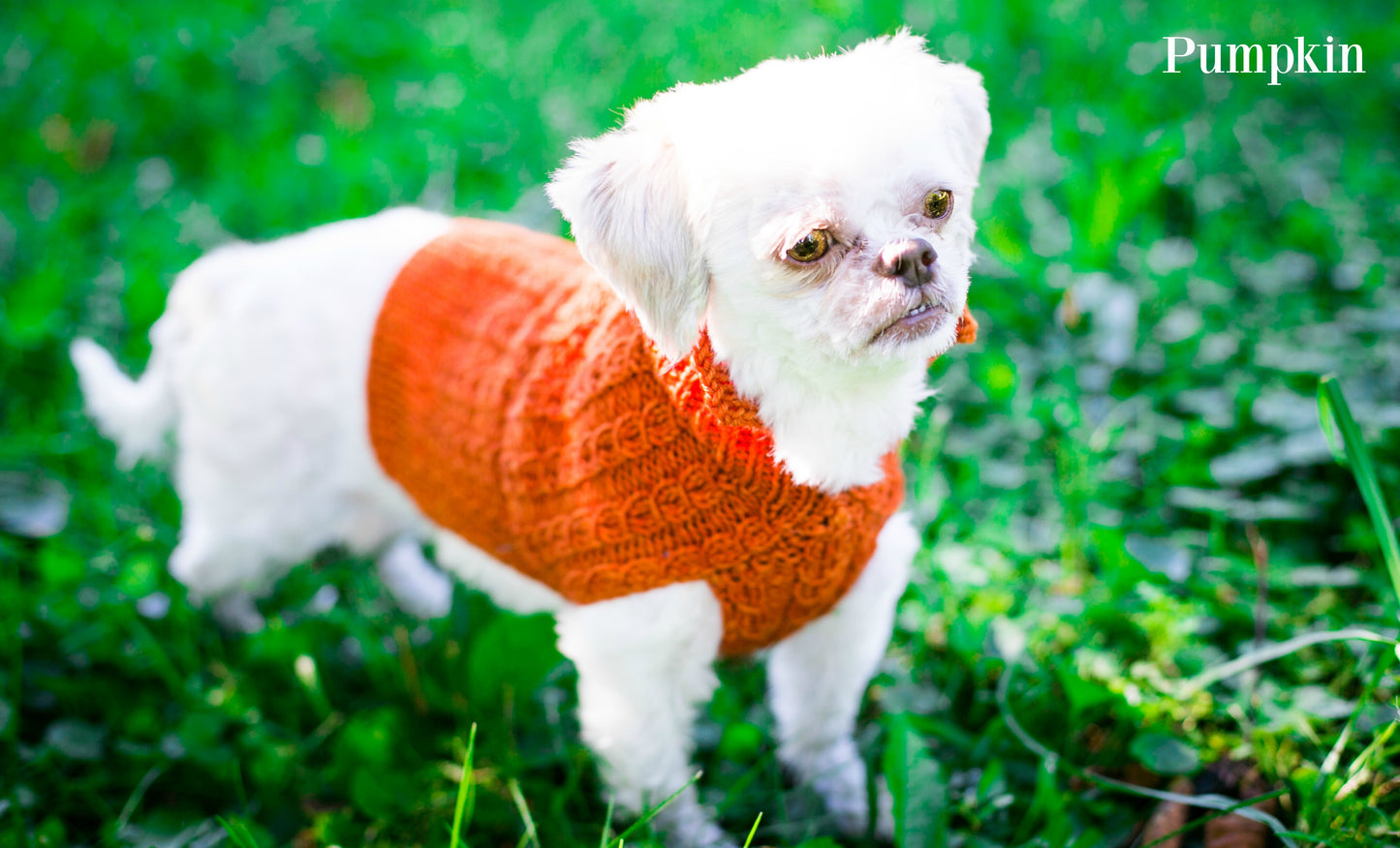 Cat & Dog Pet Sweaters Size XSmall READY TO SHIP