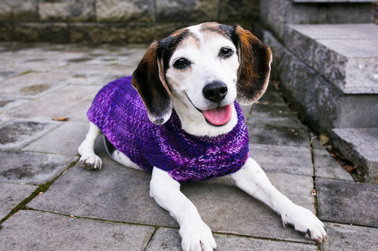 Cat & Dog Pet Sweaters in Purple Club - LAST OF THIS COLORWAY!