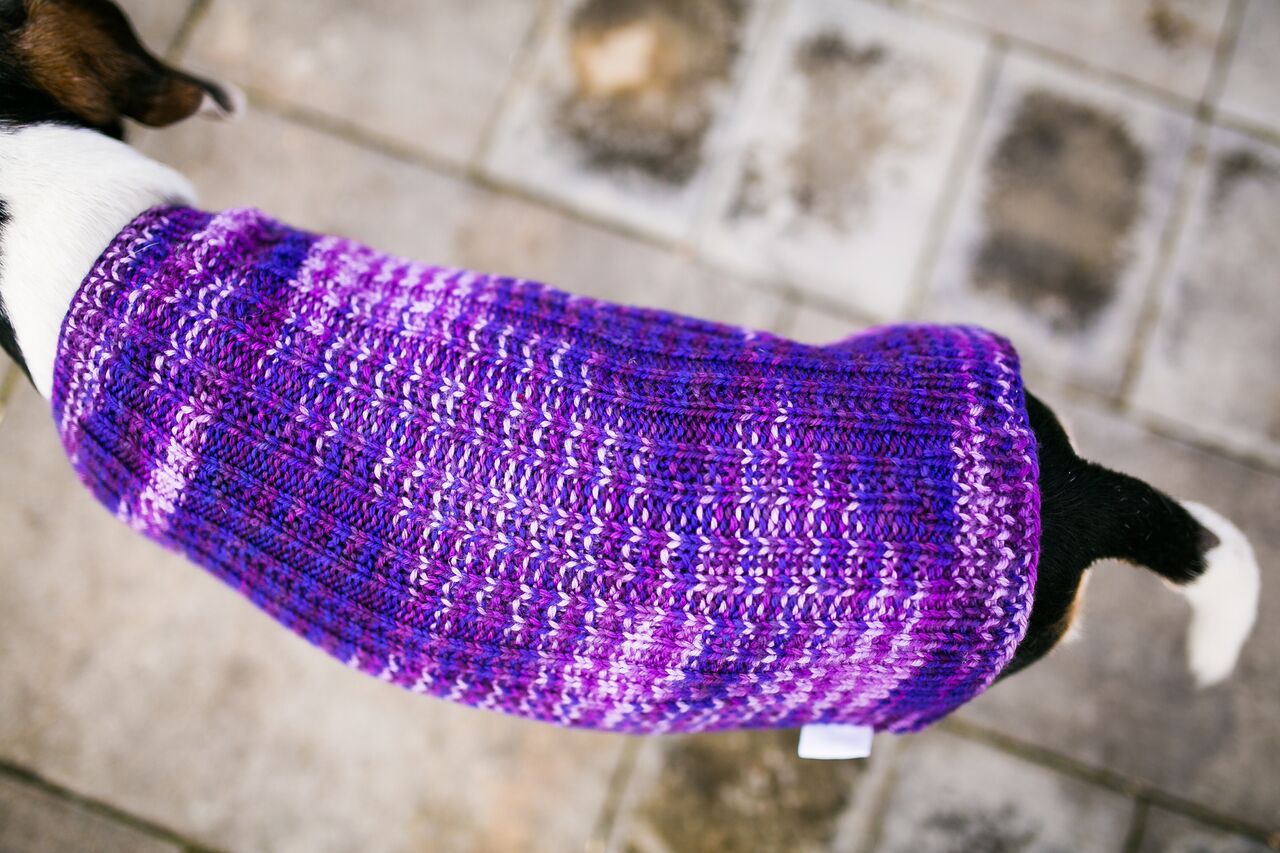 Cat & Dog Pet Sweaters in Purple Club - LAST OF THIS COLORWAY!