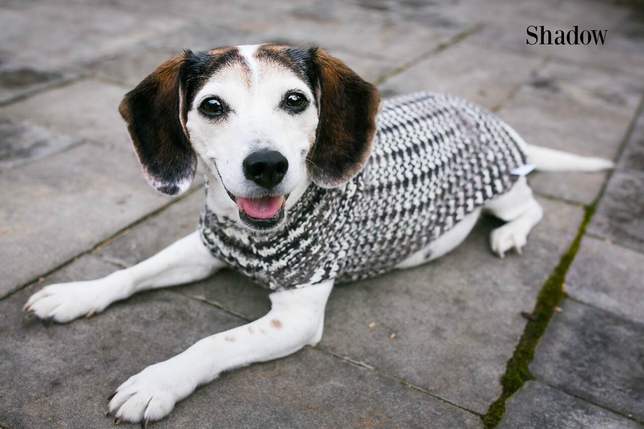 Cat & Dog Pet Sweaters Size Medium READY TO SHIP