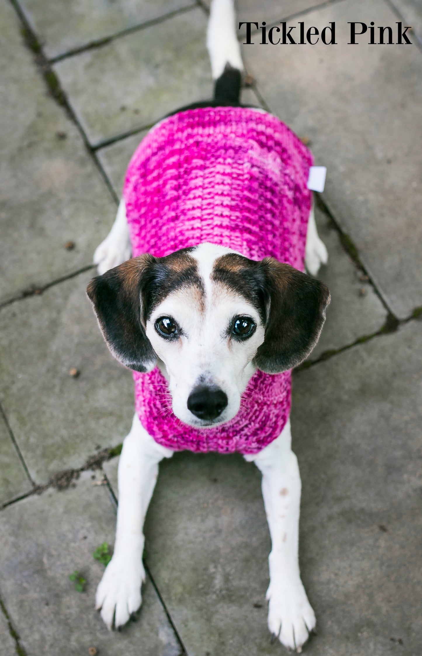 Cat & Dog Pet Sweaters Size Medium READY TO SHIP