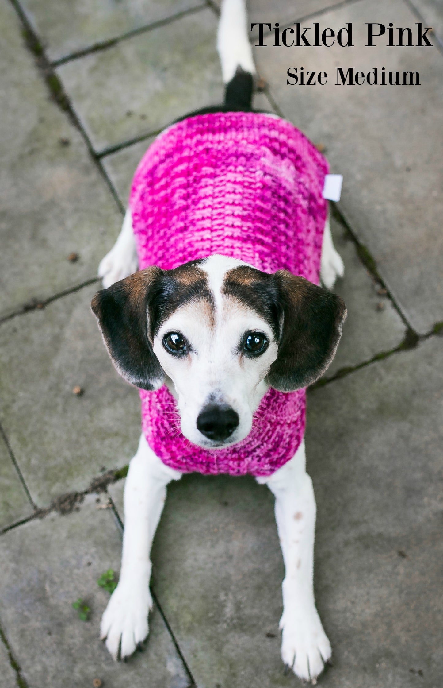 Cat & Dog Pet Sweaters Size XXSmall READY TO SHIP