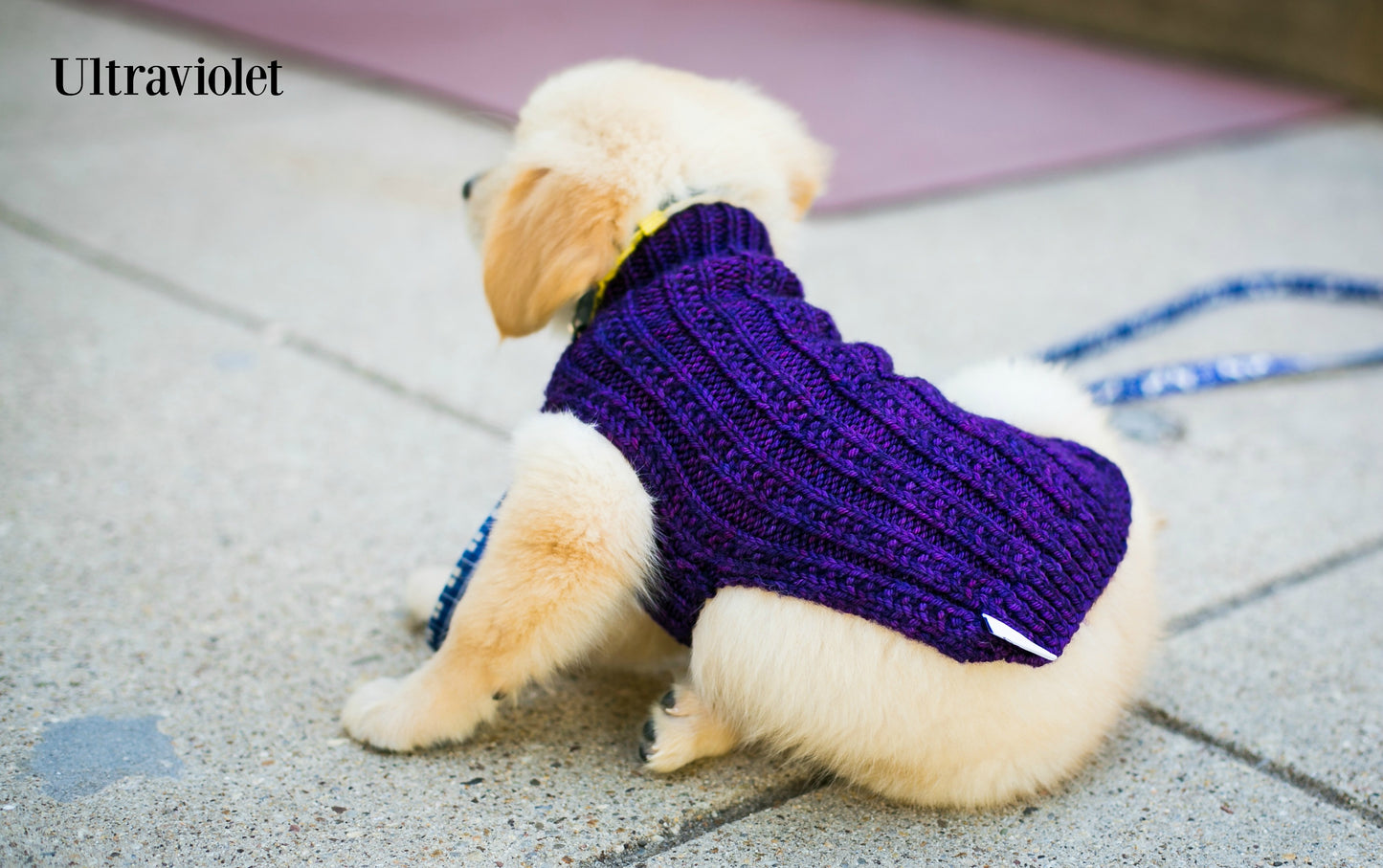 Cat & Dog Pet Sweaters Size XXSmall READY TO SHIP