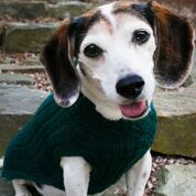 Cat & Dog Pet Sweaters in Waistcoat - LAST OF THIS COLORWAY!