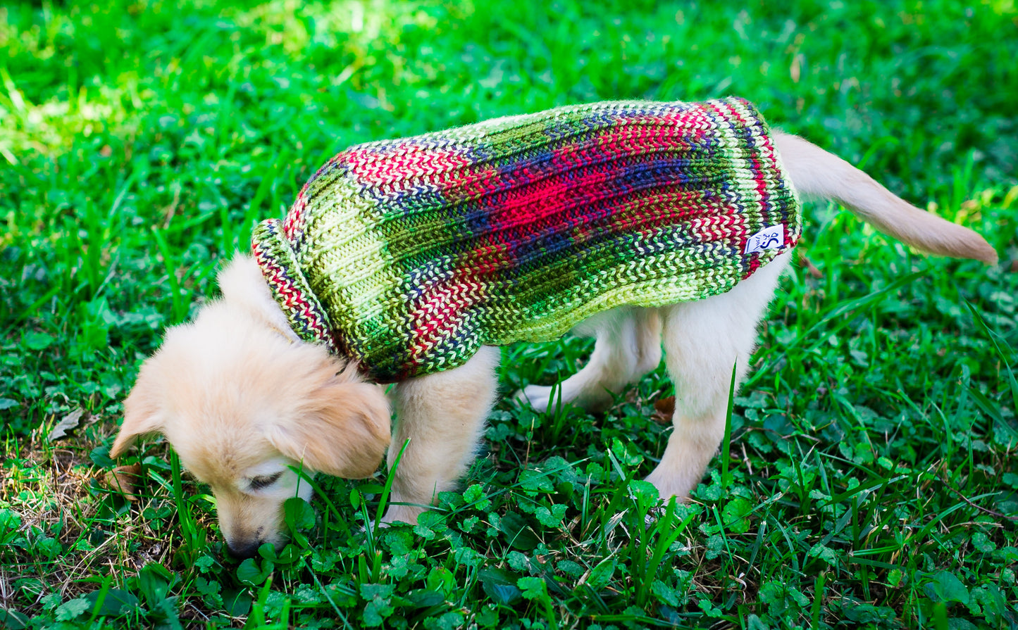 Cat & Dog Pet Sweaters in Zombie BBQ - LAST OF THIS COLORWAY!