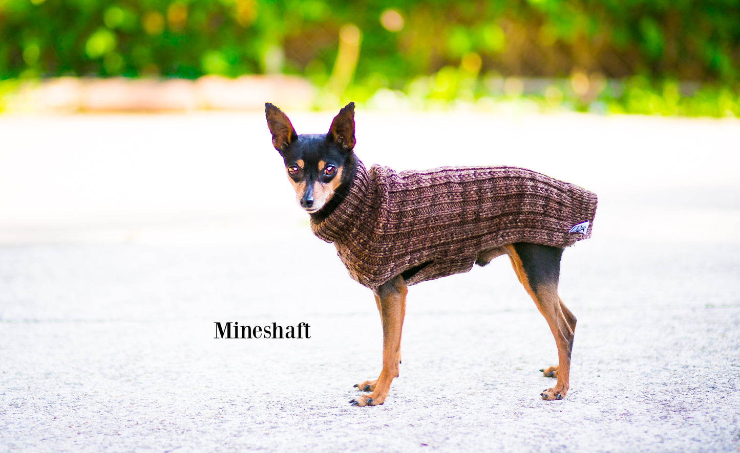 Cat & Dog Pet Sweaters Size Small READY TO SHIP