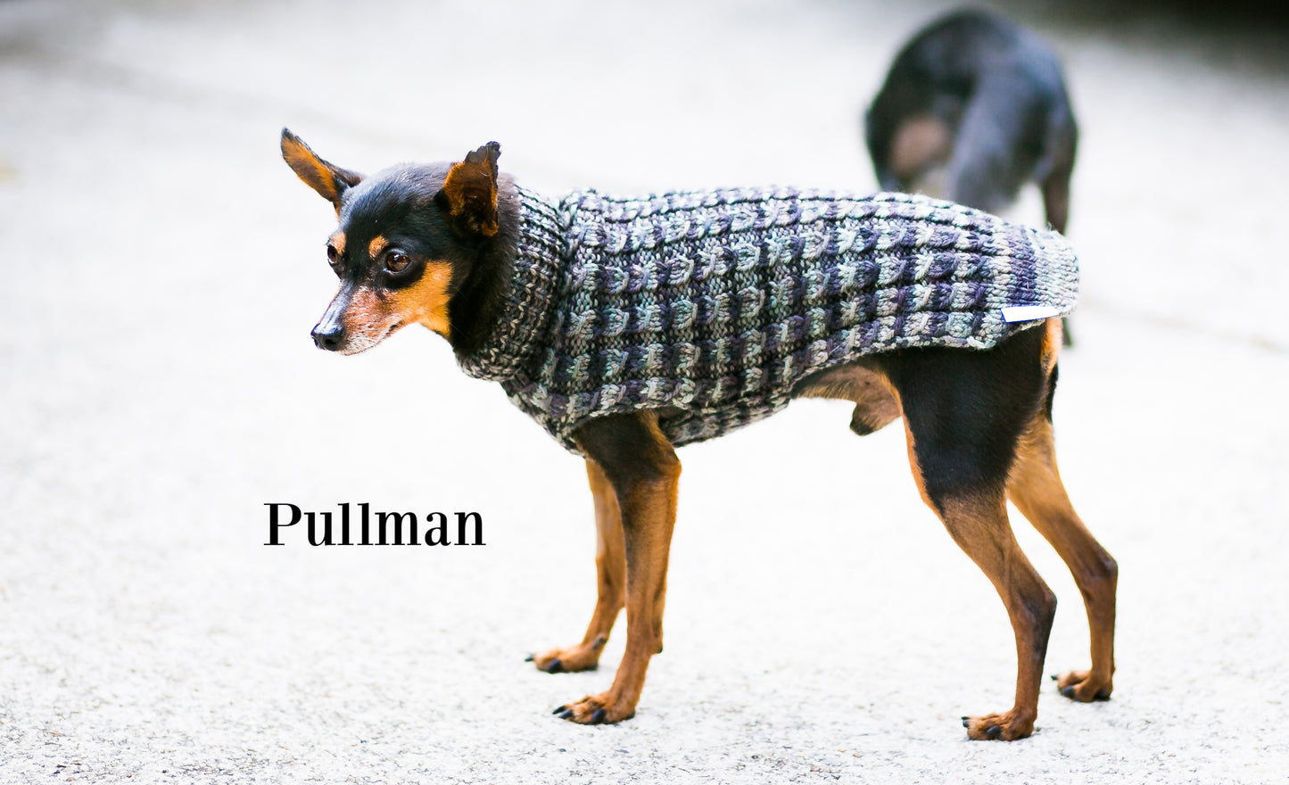 Cat & Dog Pet Sweaters Size Small READY TO SHIP