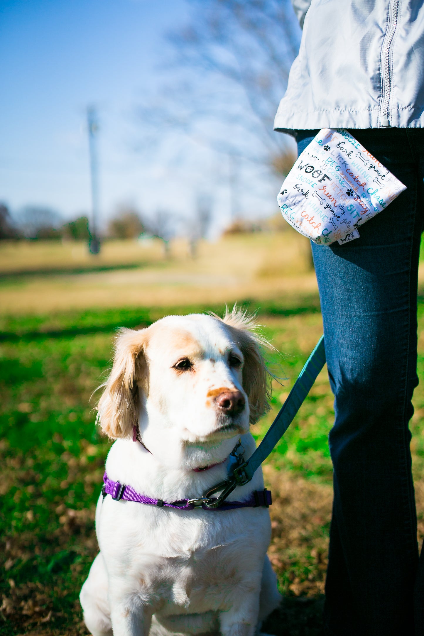 Fun Premium Treat and Pickup Bags Carry Pouch Food Safe Waterproof Lining Choice of Clasps Dog Lover Words OUT OF PRINT