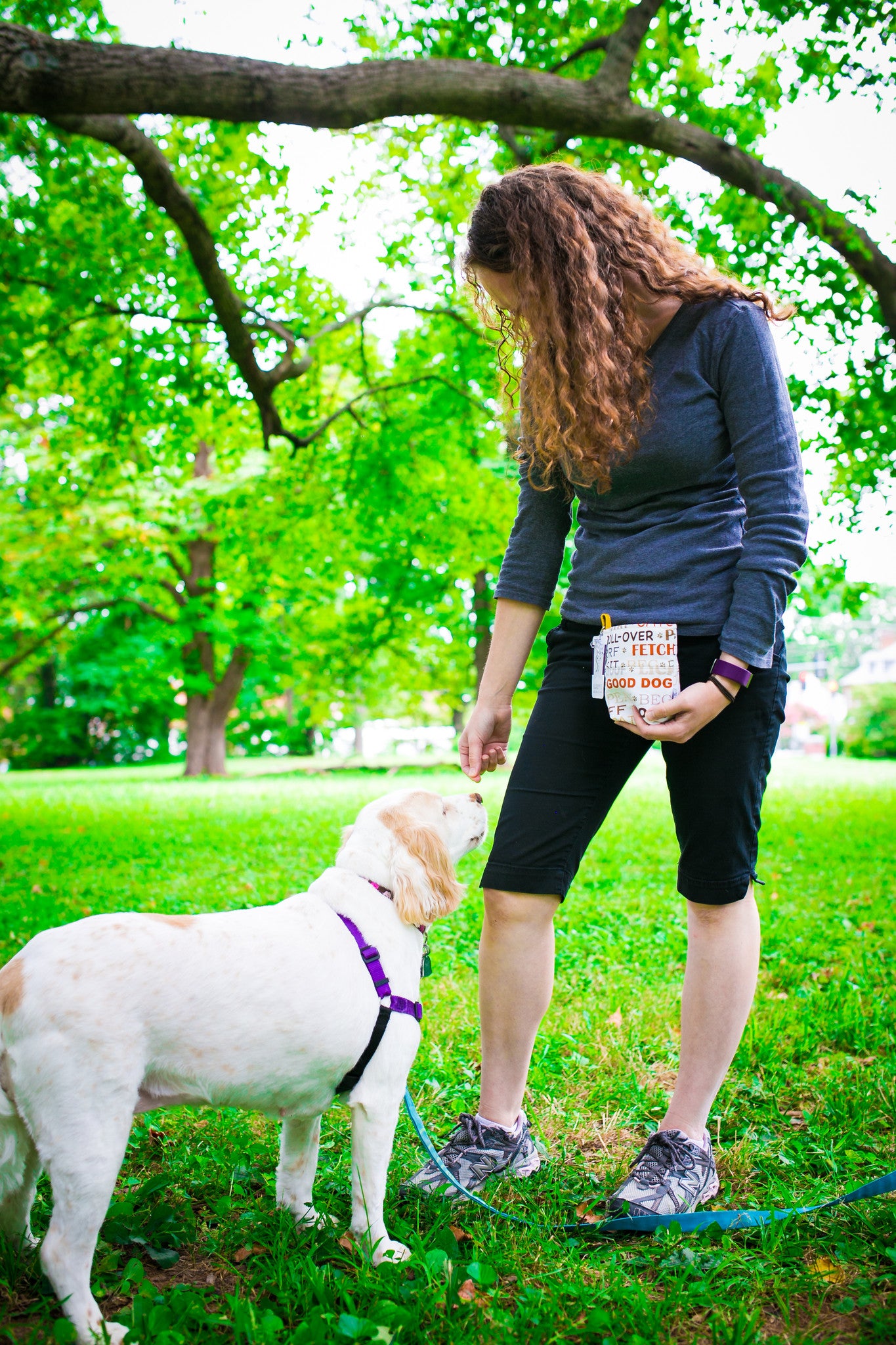 Fun Standard Treat and Pickup Bags Carry Pouch in Puptown LAST ONE