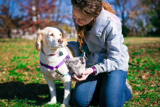 Fun Upgraded Treat and Pickup Bags Carry Pouch Eclectic Elements Butterflight Butterfly Taupe Food Safe Waterproof Lining DHead Bolt