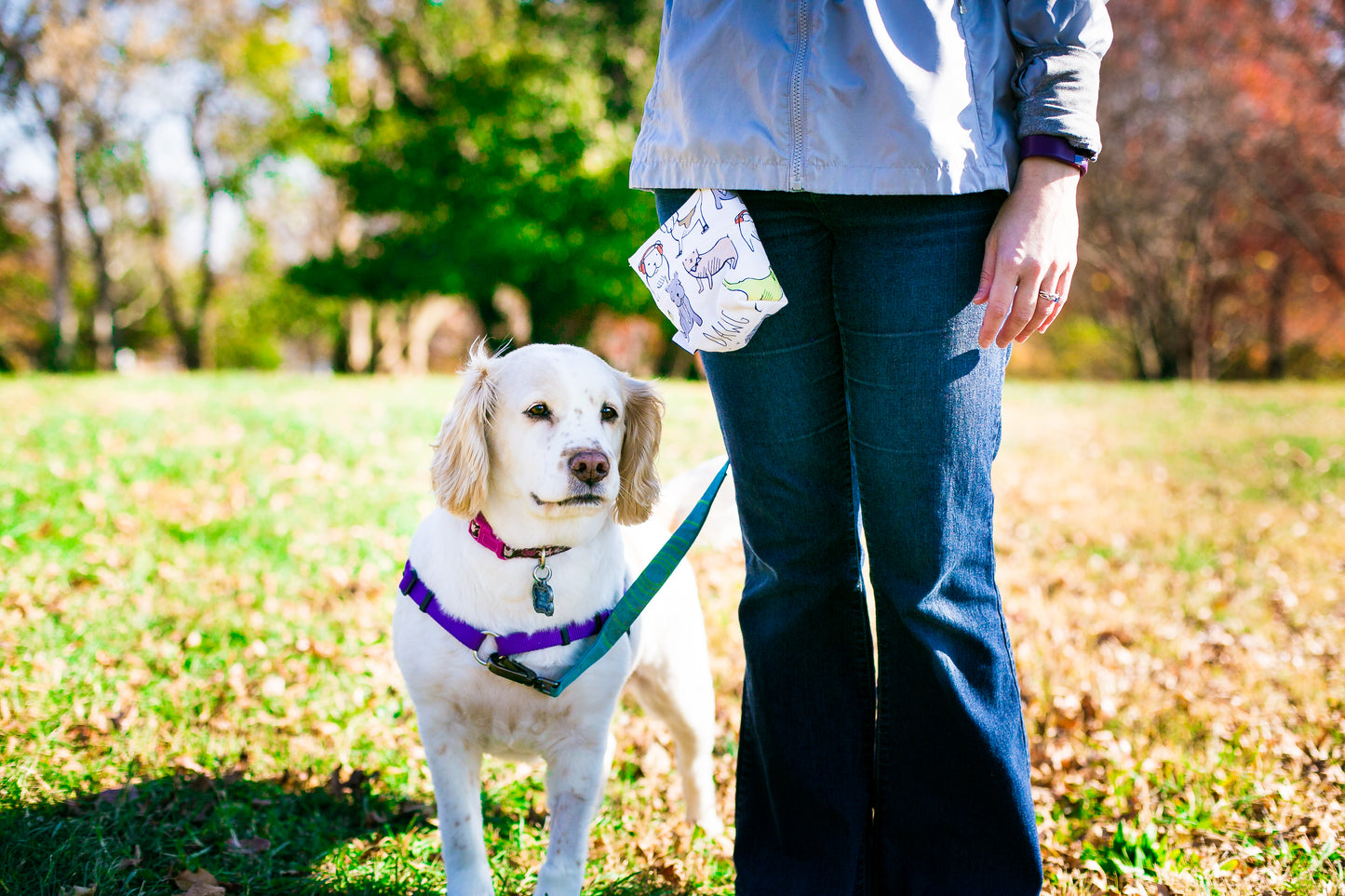 Fun Premium Treat and Pickup Bags Carry Pouch Food Safe Waterproof Lining Choice of Clasps Hipsta Dawg Hipster Dog
