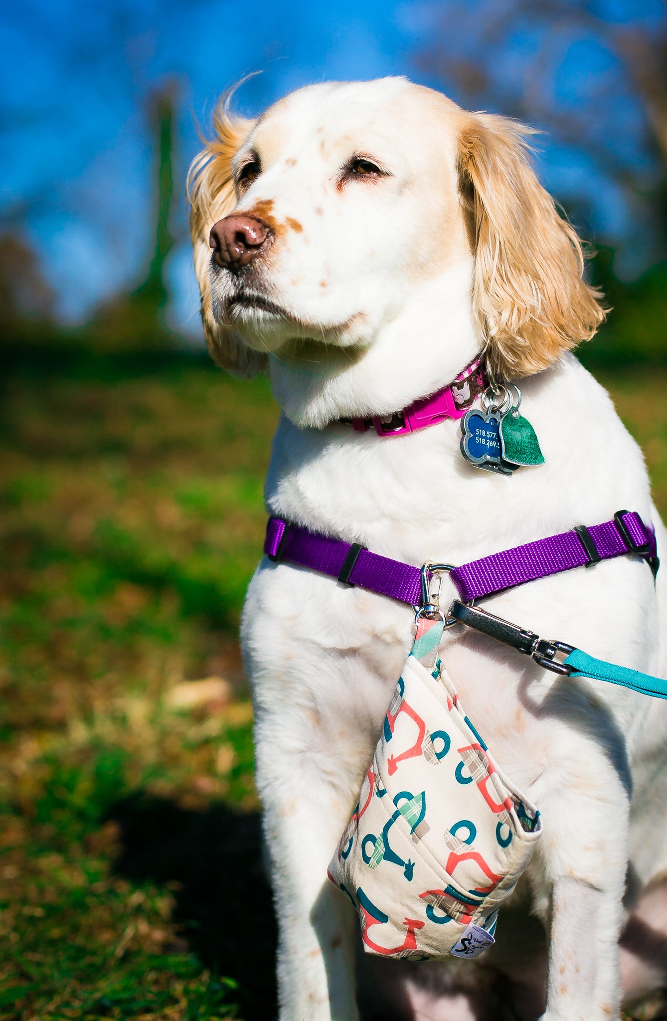Fun Standard Treat and Pickup Bags Carry Pouch in Puptown LAST ONE