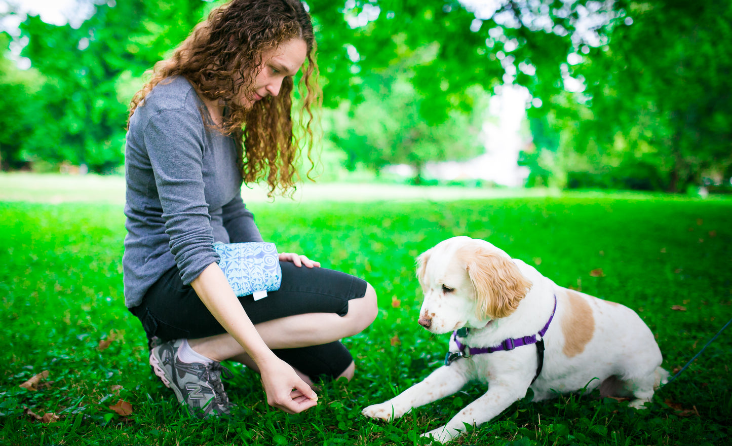 Fun Premium Treat and Pickup Bags Carry Pouch Food Safe Waterproof Lining Choice of Clasps Blue Ocean Blooms