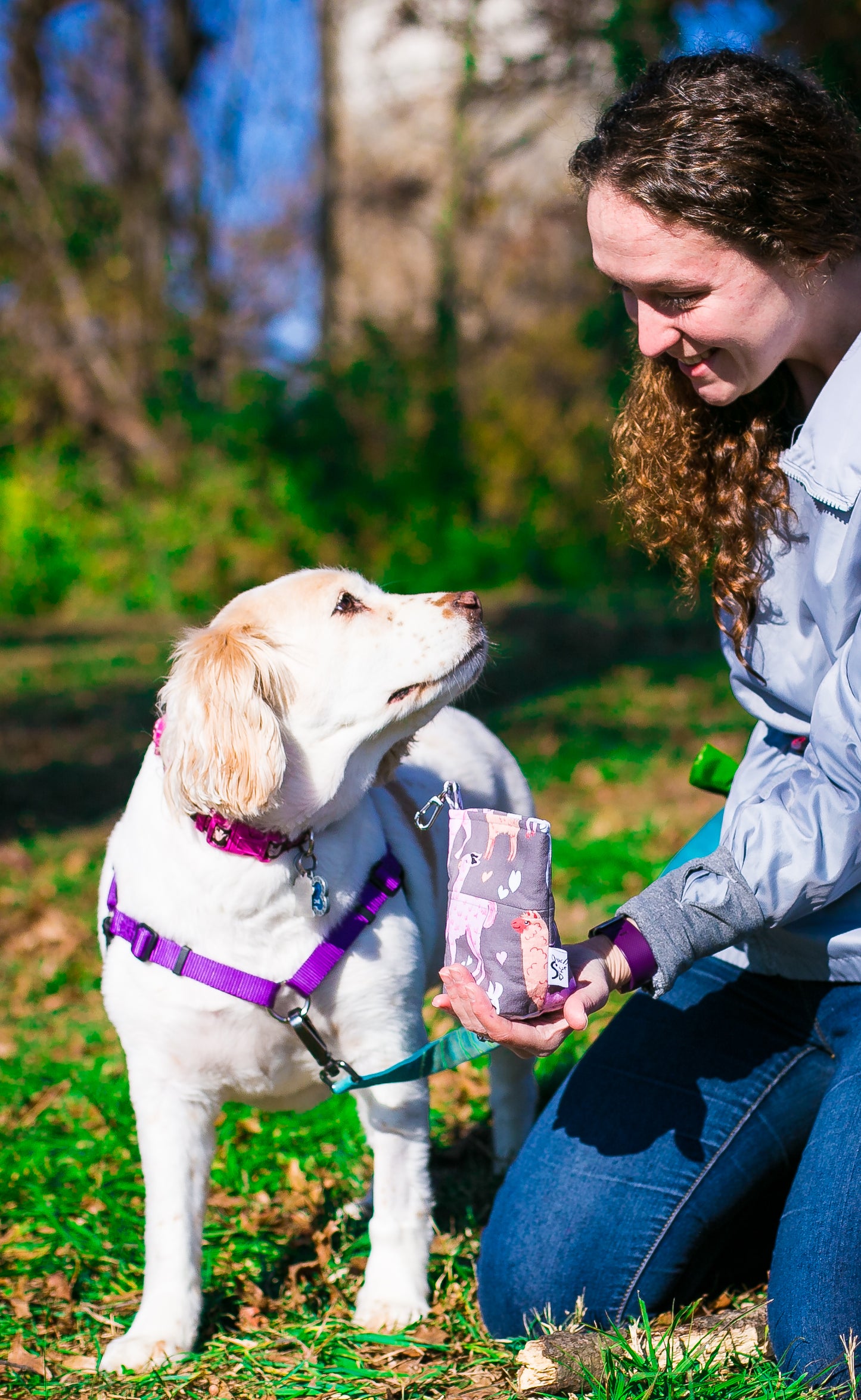 Fun Premium Treat and Pickup Bags Carry Pouch Food Safe Waterproof Lining Choice of Clasps Pink Packmates Alpacas Llamas