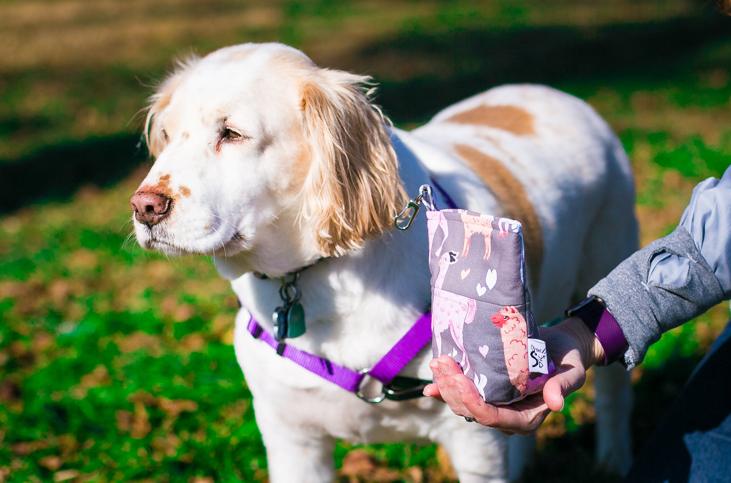 Fun Premium Treat and Pickup Bags Carry Pouch Food Safe Waterproof Lining Choice of Clasps Pink Packmates Alpacas Llamas