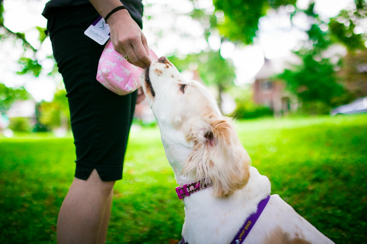 Fun Premium Treat and Pickup Bags Carry Pouch Food Safe Waterproof Lining Choice of Clasps Pink Foxes
