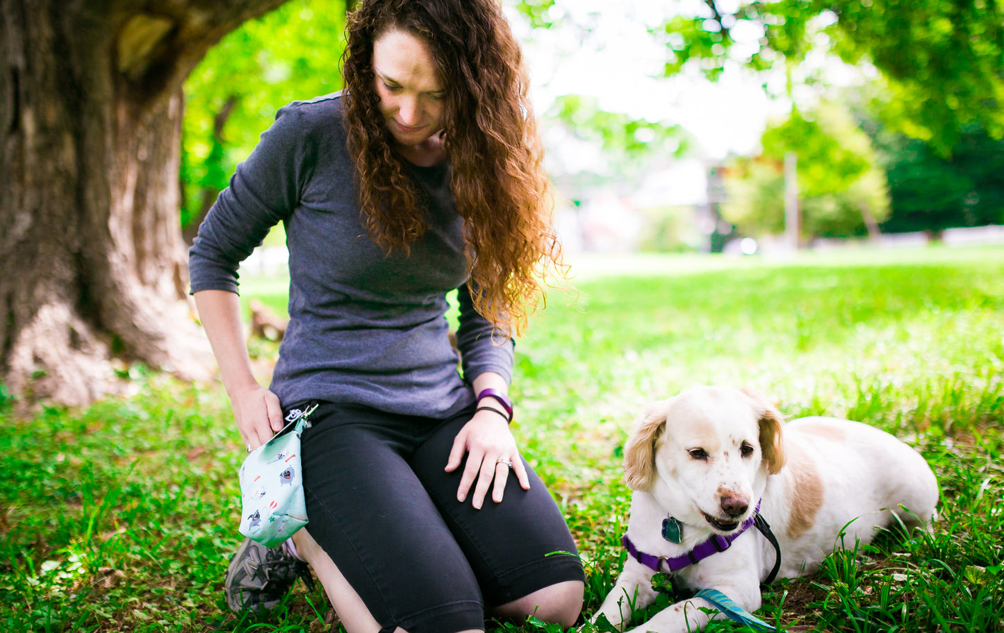 Fun Premium Treat and Pickup Bags Carry Pouch Food Safe Waterproof Lining Choice of Clasps Playful Pugs