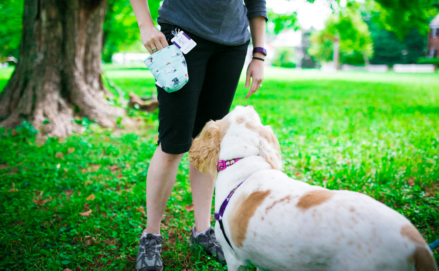 Fun Premium Treat and Pickup Bags Carry Pouch Food Safe Waterproof Lining Choice of Clasps Playful Pugs