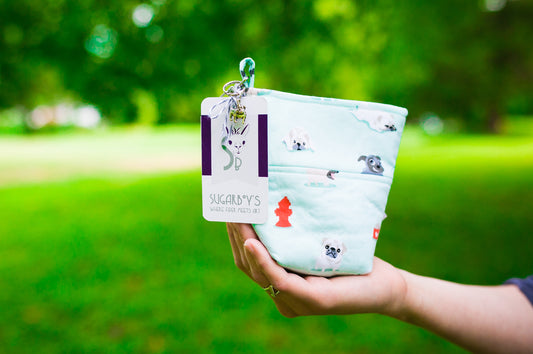 Fun Premium Treat and Pickup Bags Carry Pouch Food Safe Waterproof Lining Choice of Clasps Playful Pugs