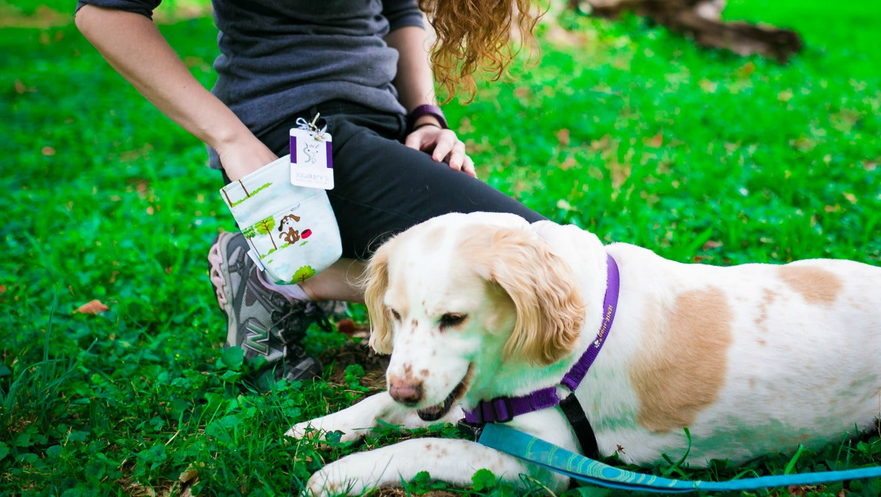 Fun Premium Treat and Pickup Bags Carry Pouch Food Safe Waterproof Lining Choice of Clasps Puppy Time Puppy Park Blue