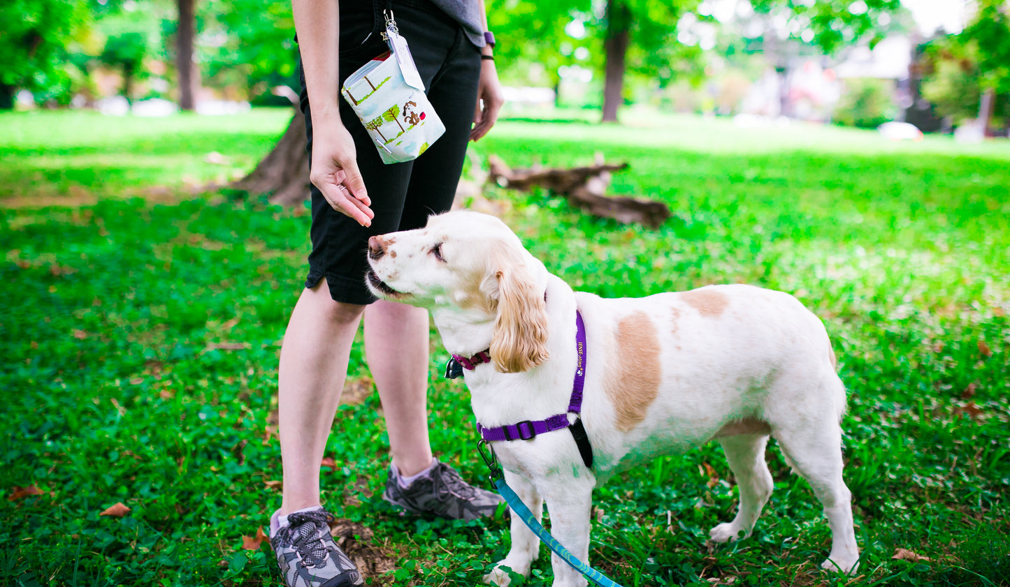Fun Premium Treat and Pickup Bags Carry Pouch Food Safe Waterproof Lining Choice of Clasps Puppy Time Puppy Park Blue