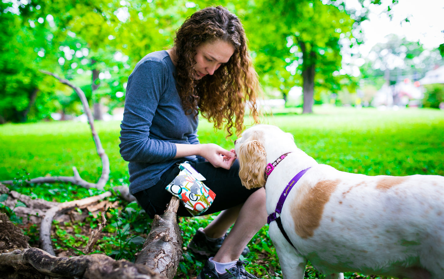 Fun Premium Treat and Pickup Bags Carry Pouch Food Safe Waterproof Lining Choice of Clasps Woof
