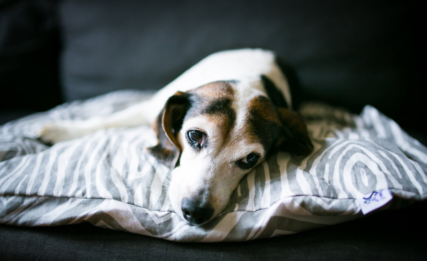 Paca Pet Pouf Pet Bed Flannel Red Sasparilla Bandanna Cover