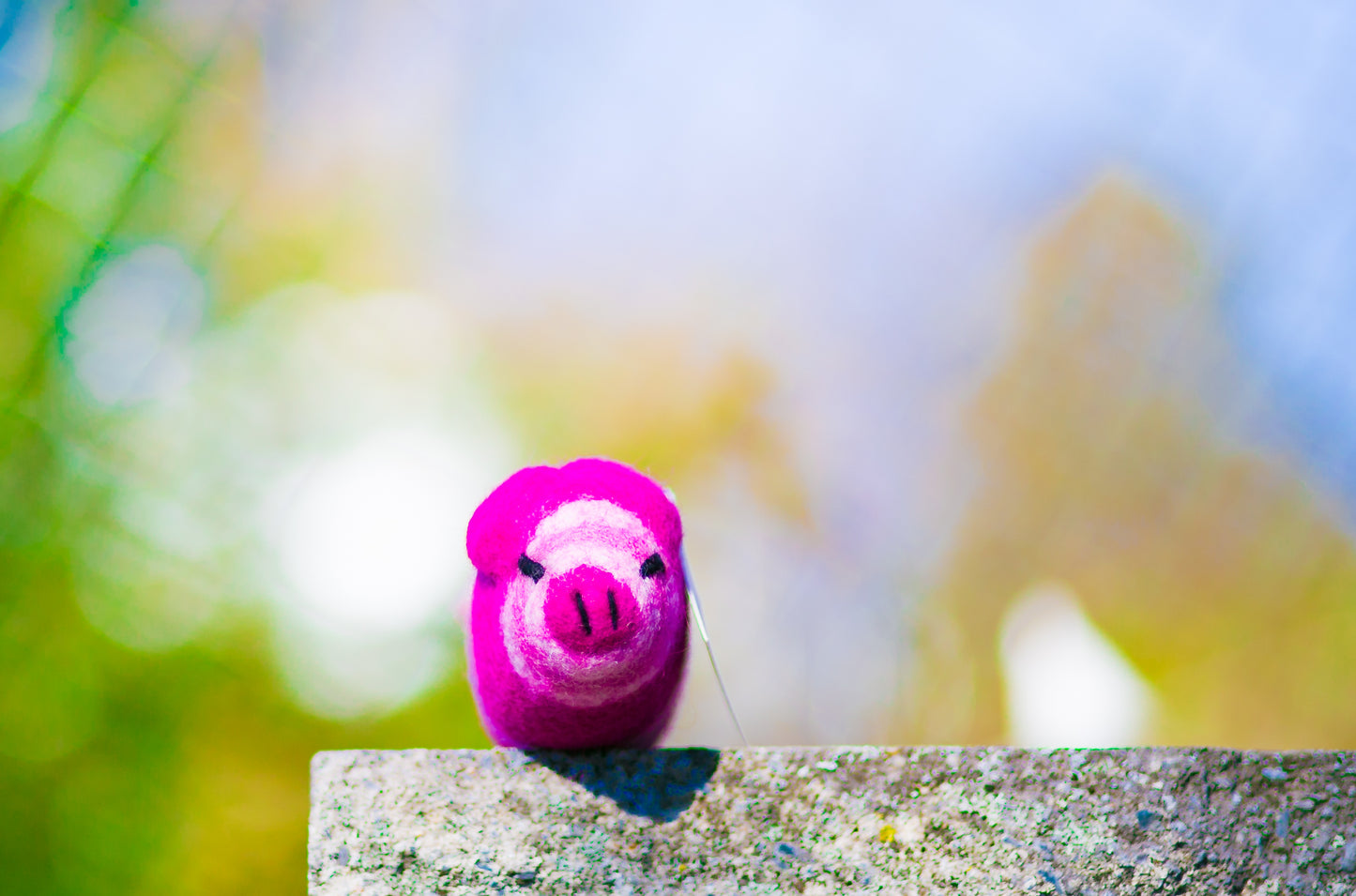 Lollycadoodle Felted Dog Toy Pink Pig