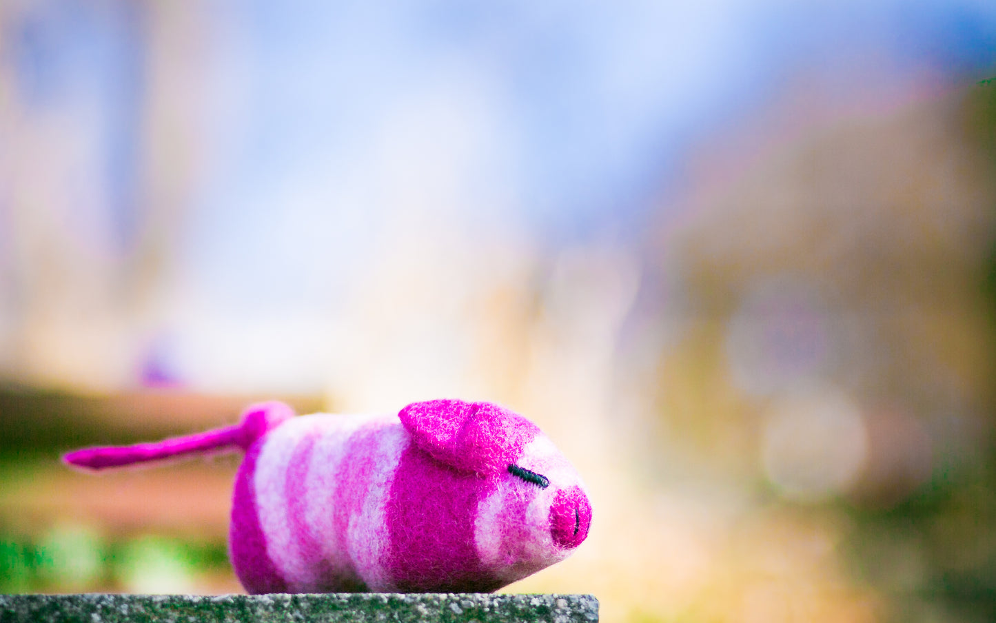 Lollycadoodle Felted Dog Toy Pink Pig