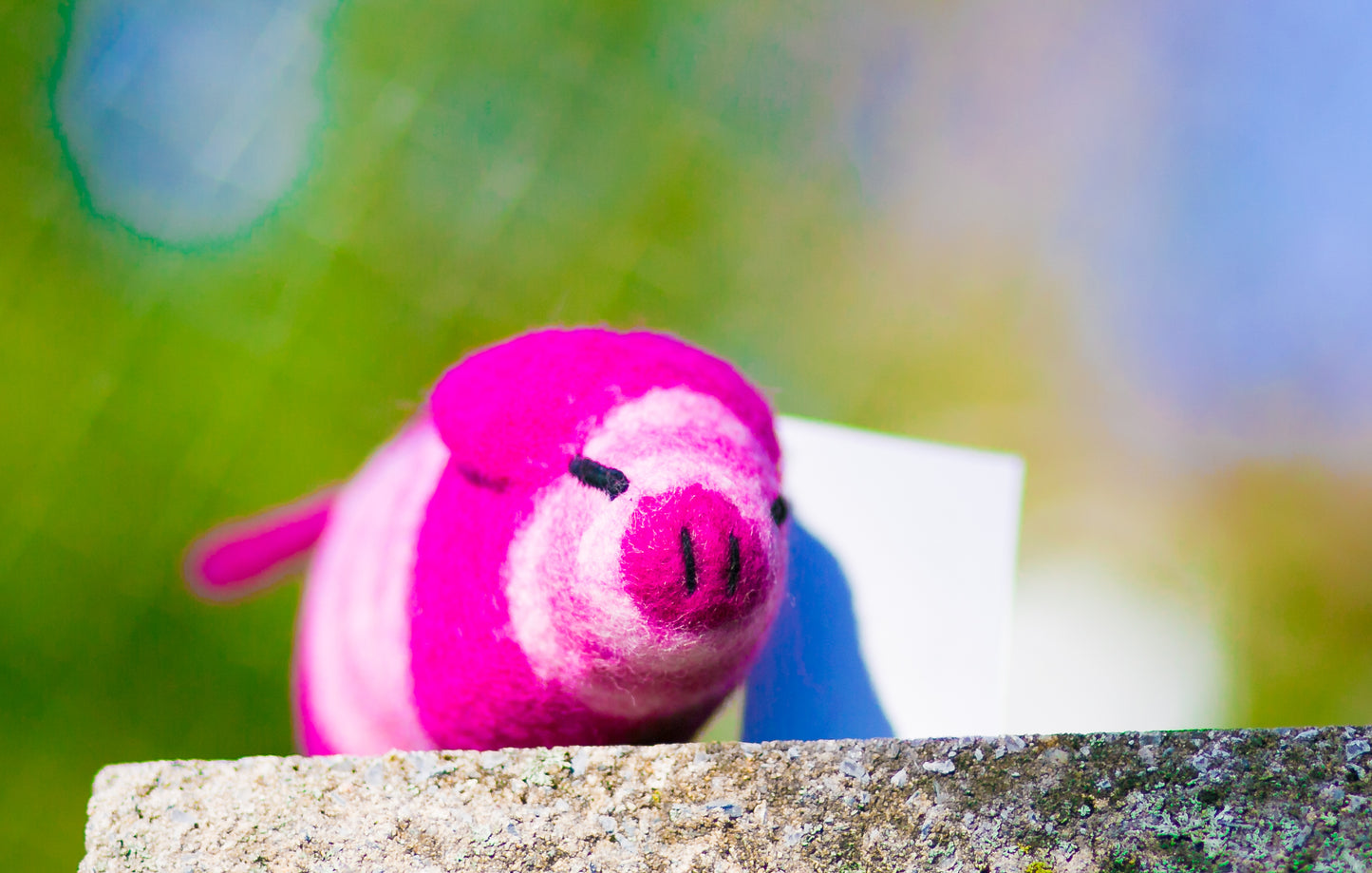Lollycadoodle Felted Dog Toy Pink Pig