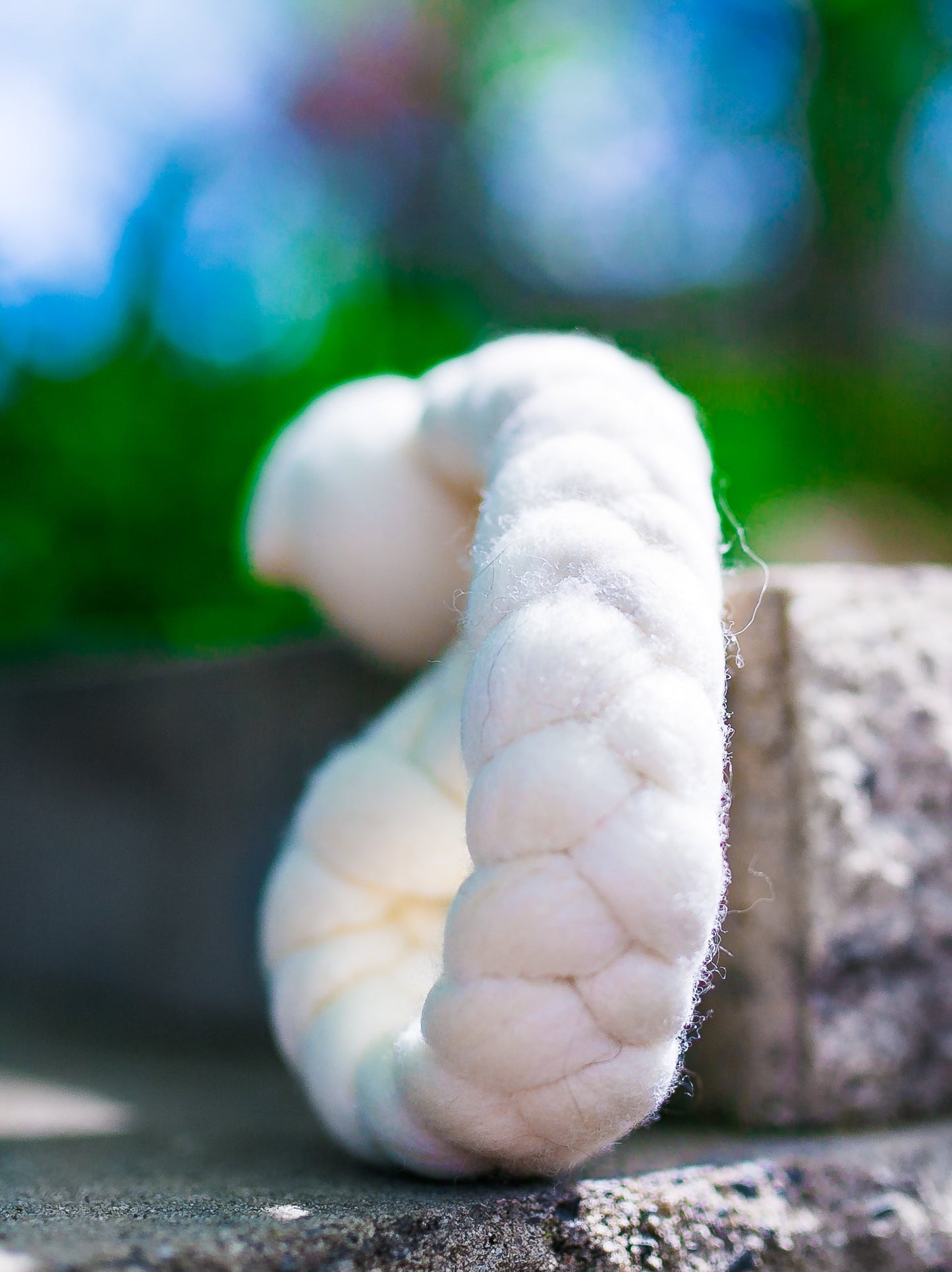 Generous Woolly Tug Felted Dog/Cat Toy in Natural Merino Wool - DYE FREE #G50