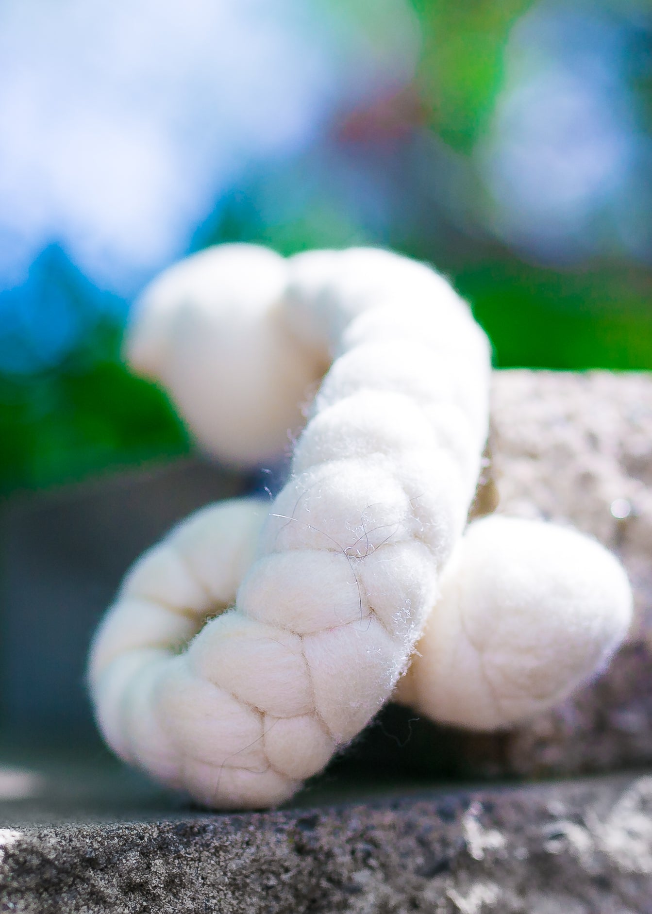 Generous Woolly Tug Felted Dog/Cat Toy in Natural Merino Wool - DYE FREE #G50