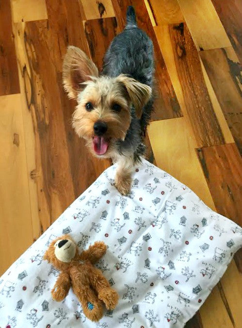Paca Pet Pouf Pet Bed Flannel Lime Dots Cover