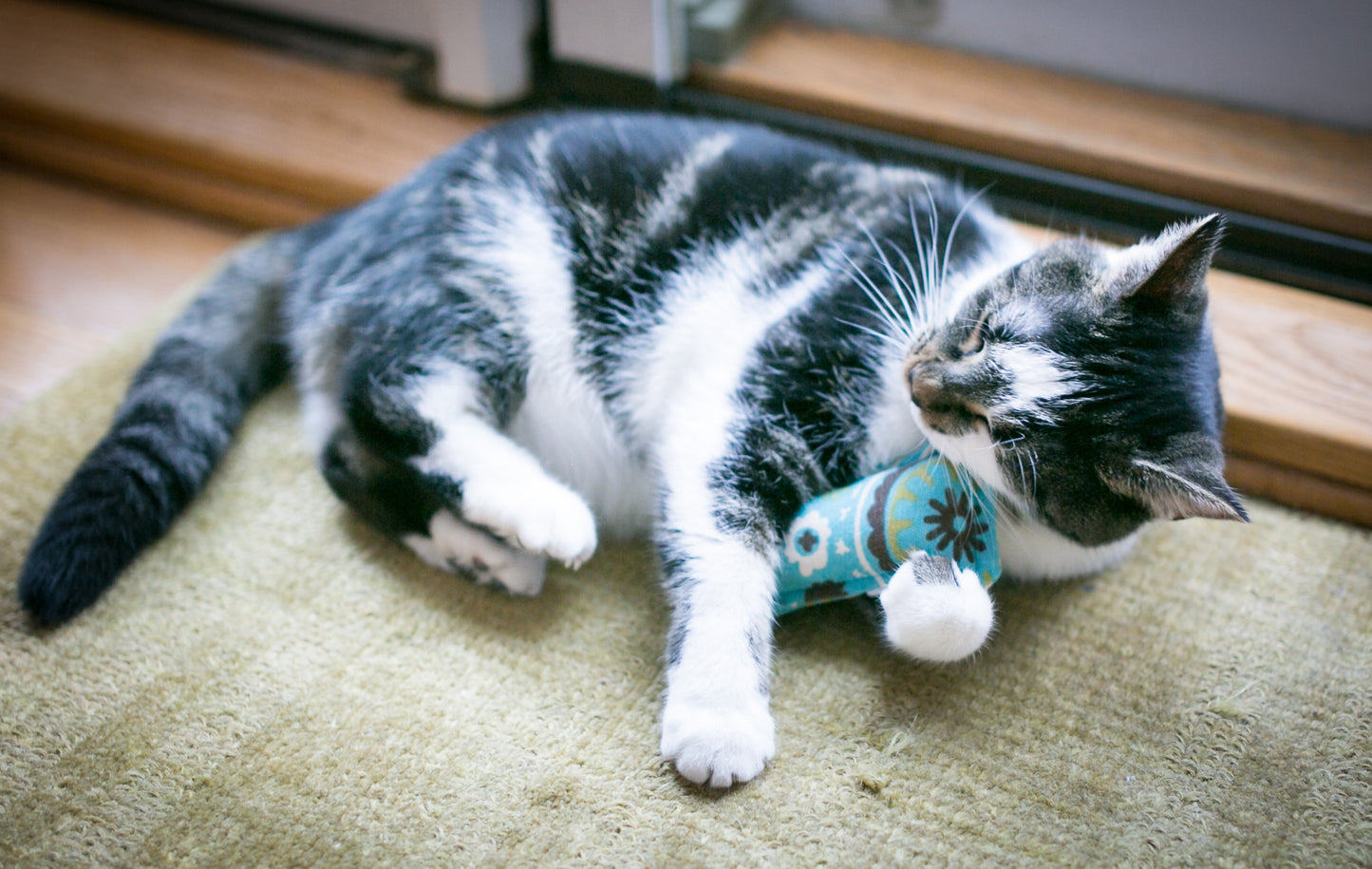Twill Mini Kitty Nip Kicker Catnip Toy in Powder Blue Osborne