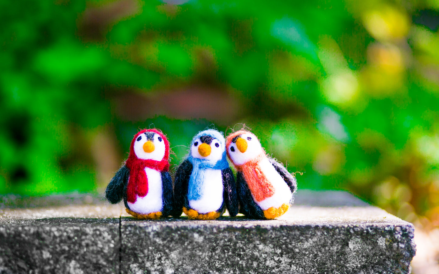 Felted Wool Penguin Cat Toy in Red - With or Without Catnip
