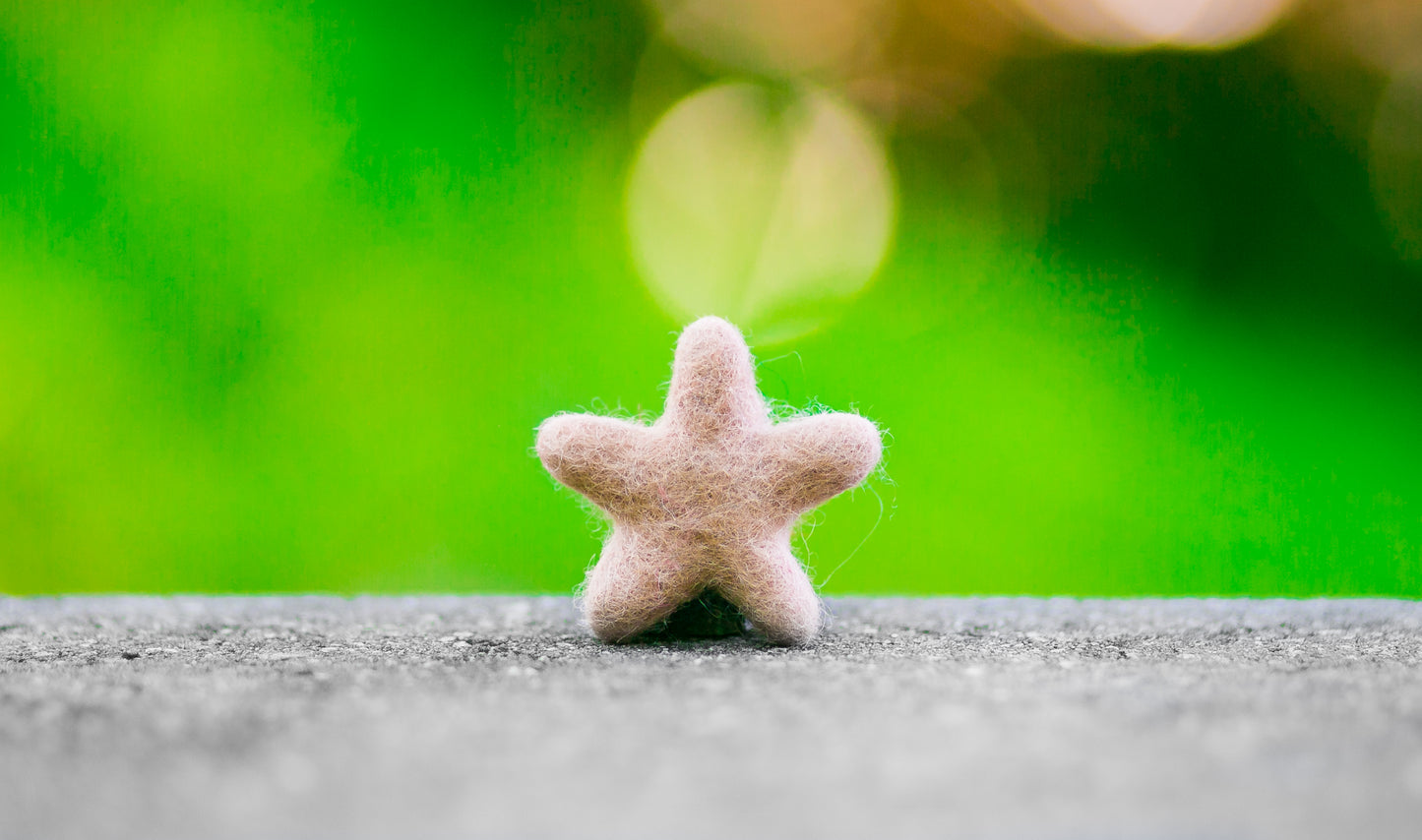 Felted Stars Catnip Cat Toy Trio Beach Collection