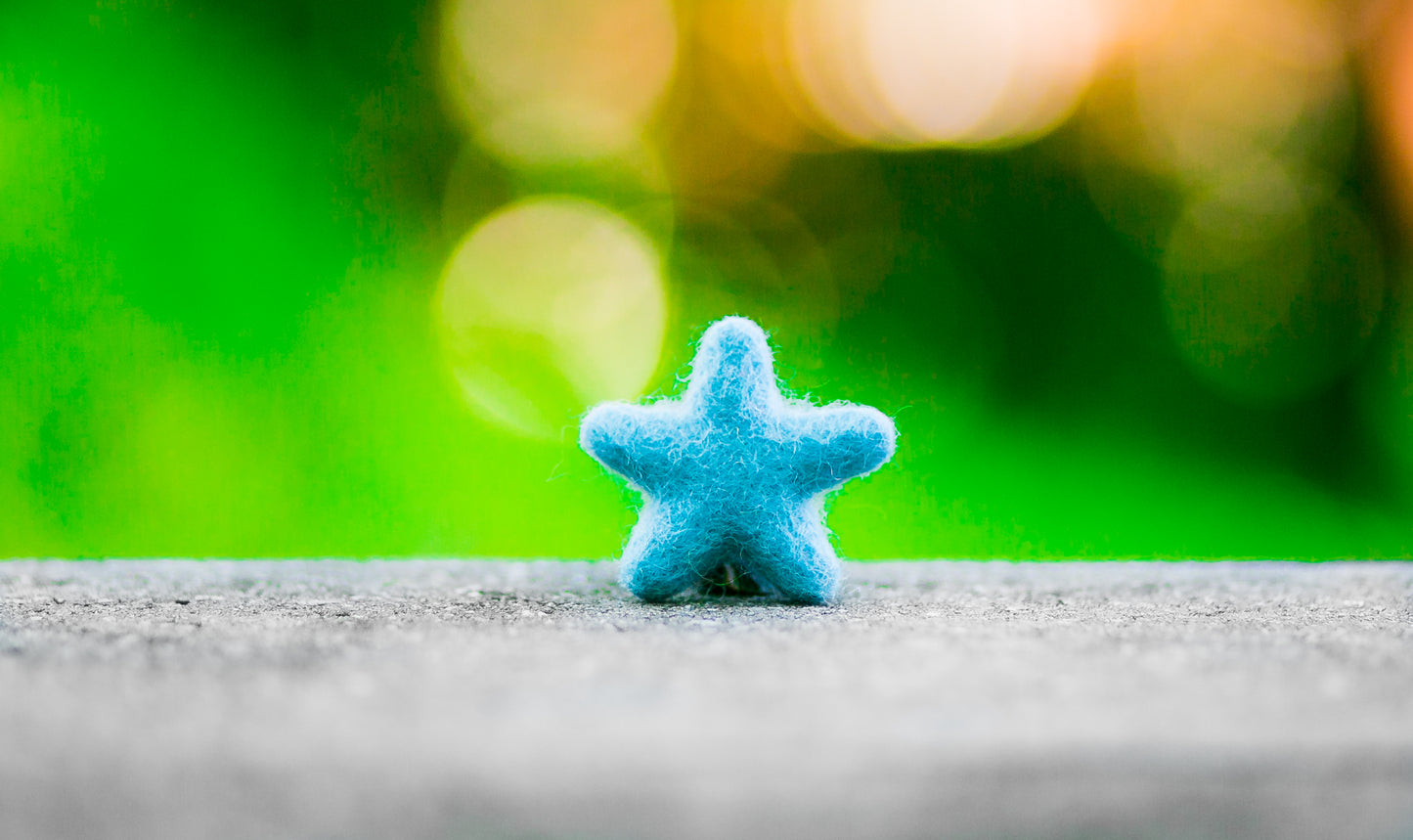 Felted Stars Catnip Cat Toy Trio Beach Collection