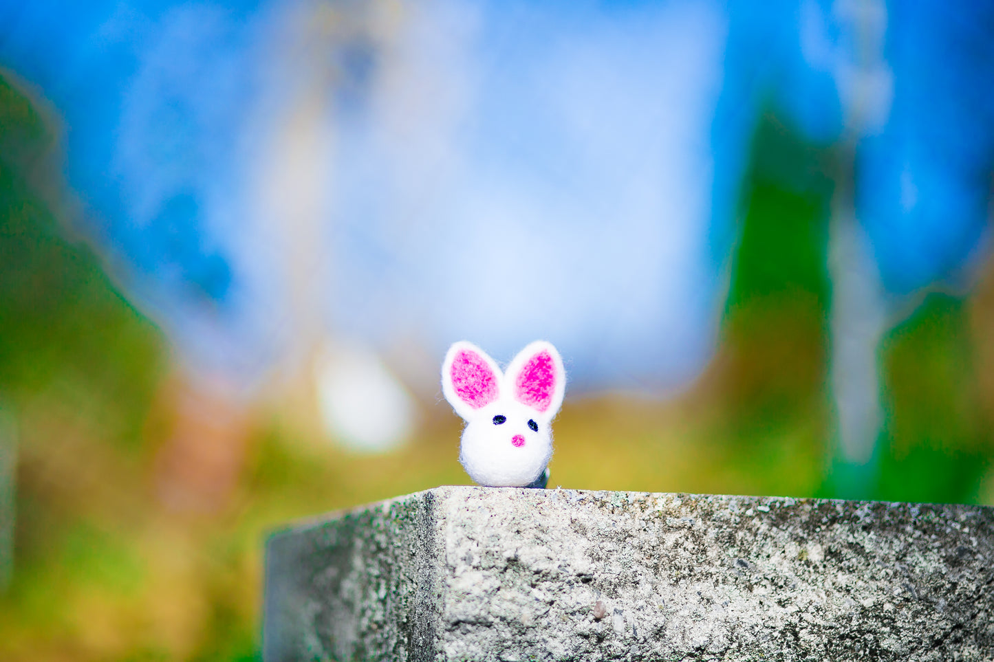 Felted Wool Bunny Head Cat Toy in Foxglove - With or Without Catnip