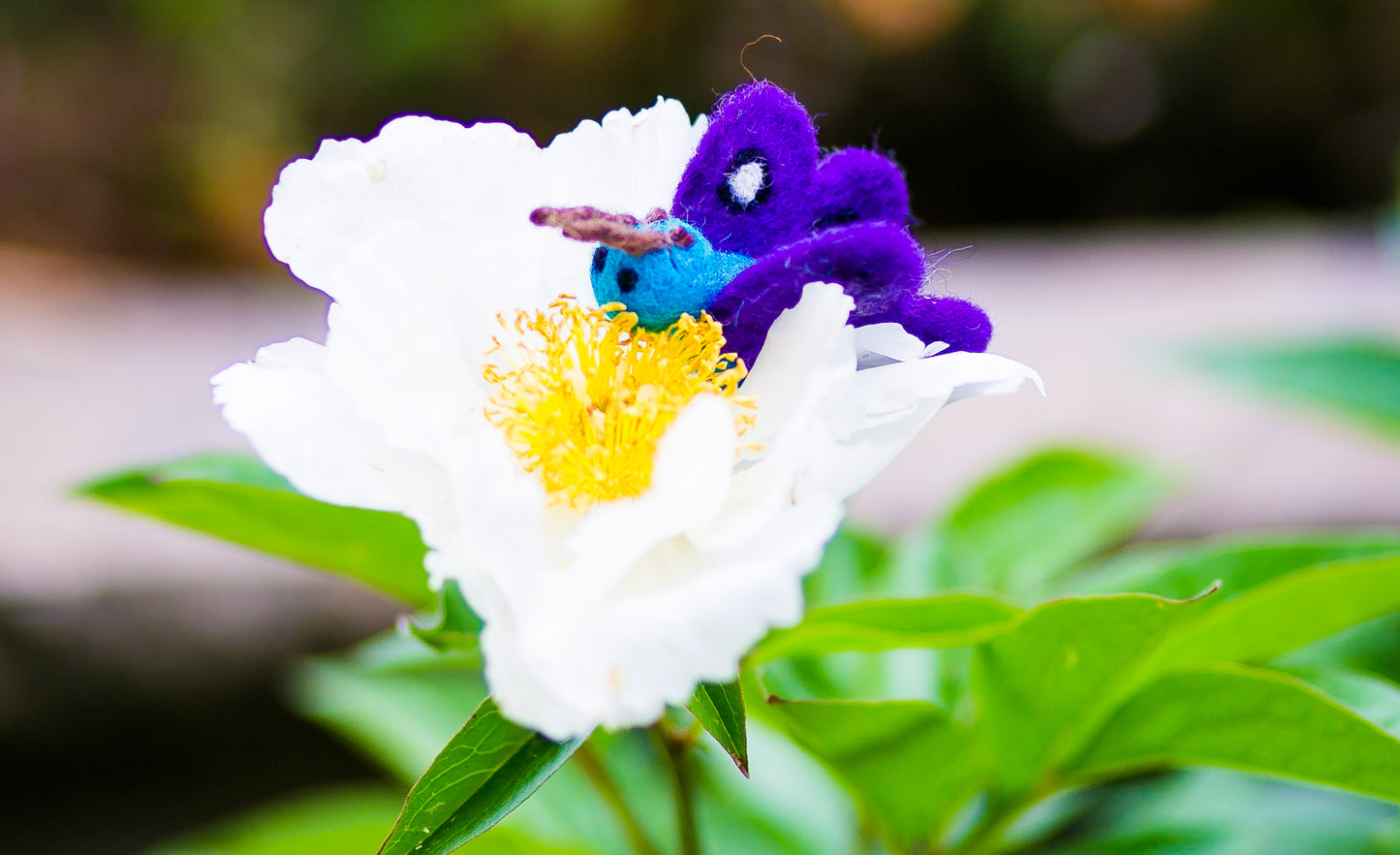 Karma Cat Backyard Friends Felted Butterfly in Teal