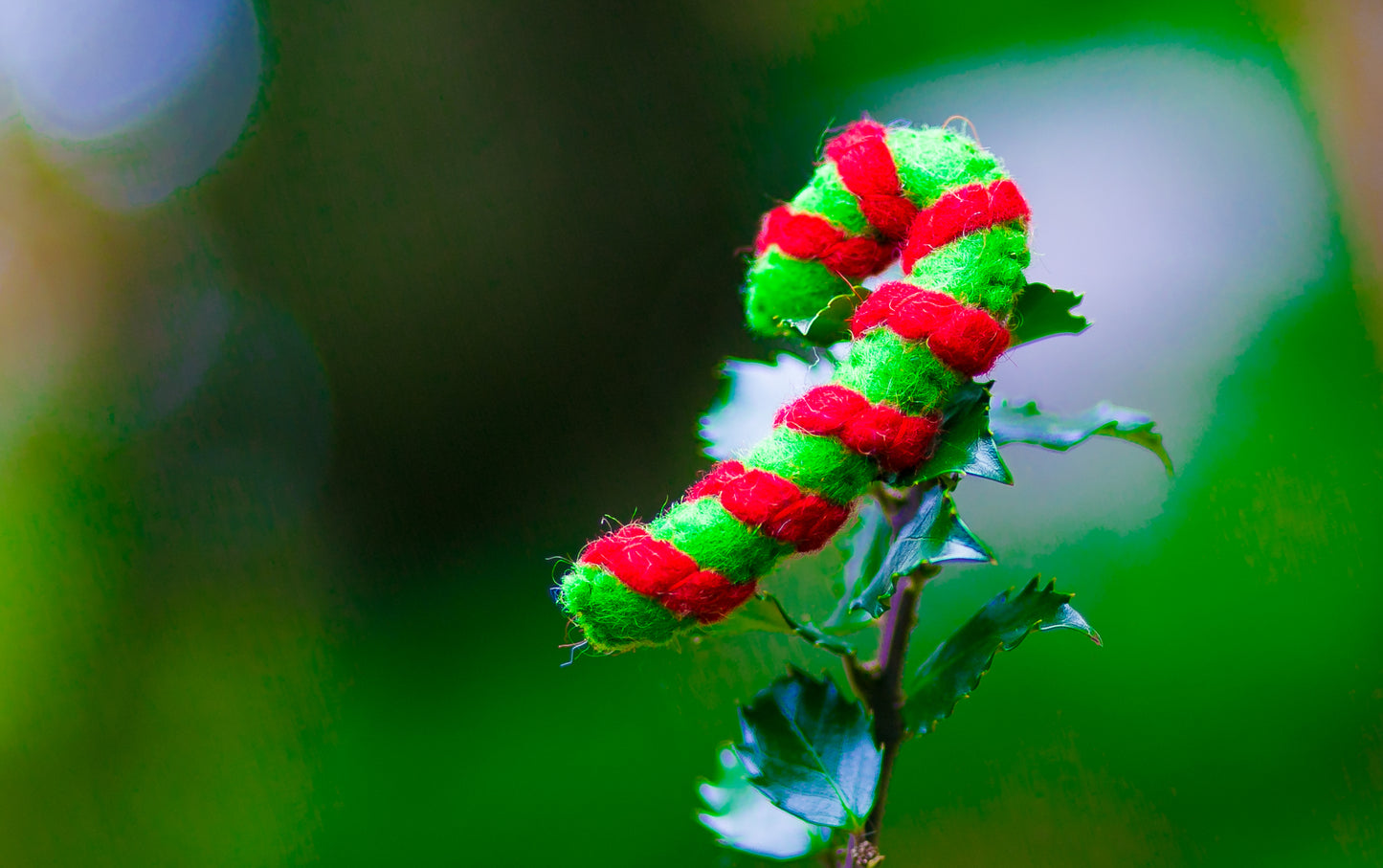 Karma Cat Felted Wool Candy Cane Christmas Cat Toy